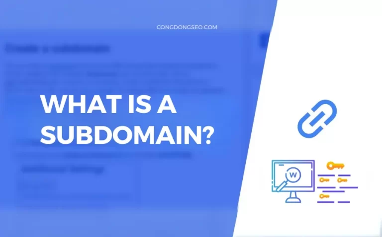 Subdomain là gì? Tại sao Subdomain quan trọng trong quản lý website?
